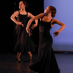 Fotografía de Talleres Baile Flamenco (galería 2) - Conservatorio de Danza